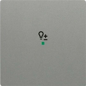 Busch-Jaeger Wippe 1-fach mit Symbol "Dimmer", graumetallic