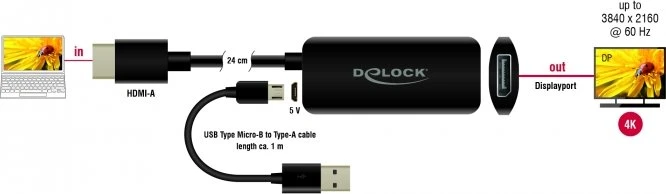 DeLOCK DisplayPort 1.2/HDMI Adapterkabel schwarz, 0.24m