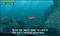 Steel Diver (3DS) Vorschaubild
