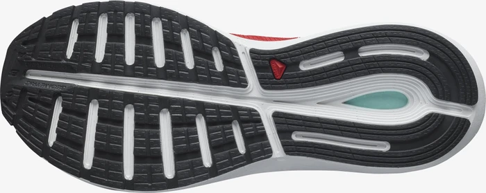 Salomon Sonic 4 Balance goji berry/white/black (Herren)