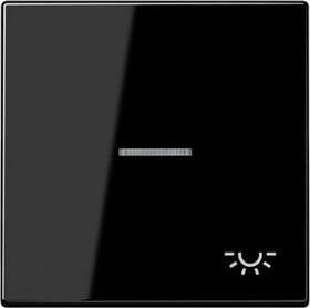 Jung Serie LS Wippe mit Lichtleiter Symbol Licht 1fach, schwarz