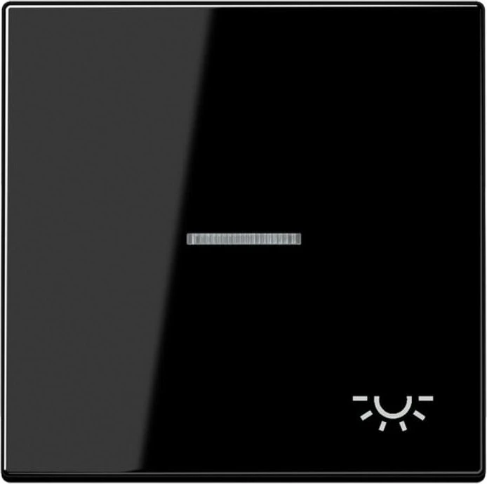 Jung Serie LS Wippe mit Lichtleiter Symbol Licht 1fach, schwarz
