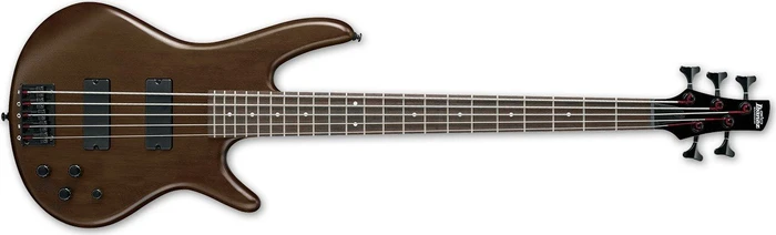 Ibanez GSR205B
