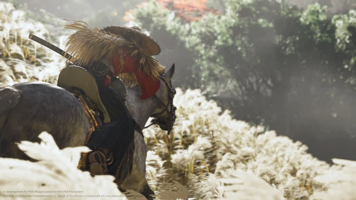 Ghost of Tsushima - Director's Cut (Download) (PC)