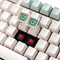 Ducky One 3 TKL PBT, Matcha, grün/weiß, MX RED, USB, DE Vorschaubild