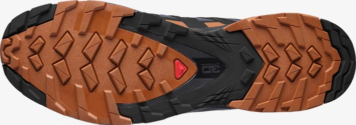Salomon XA Pro 3D V8 GTX ebony/caramel cafe/black (Herren)