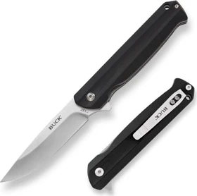 Buck 251 Langford Taschenmesser schwarz