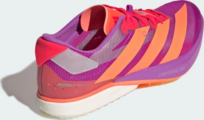 adidas Adizero Avanti XC purple burst/lucid orange/lucid red (Herren)