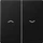 Jung Wippe 2fach, mit Pfeilsymbolen, Duroplast lackiert, Serie A, graphitschwarz matt (A 595 P SWM)