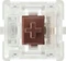 Cherry MX RGB BROWN Switch Kit, MX RGB BROWN 100Mio Switch Set, MX1A, 23er-Pack Vorschaubild