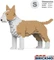 Jekca English Bull Terrier Vorschaubild