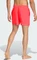 adidas Swim 5-Inch Badeshorts lucid red/white (Herren) Vorschaubild