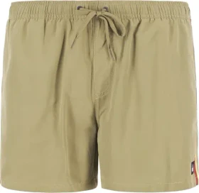 Quiksilver Everyday Beach 15" Badeshorts aloe (Herren)
