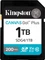 Kingston Canvas Go! Plus Gen4 SDXC Vorschaubild
