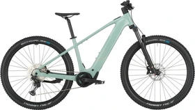 Bergamont E-Revox Sport 10 sage green Modell 2025