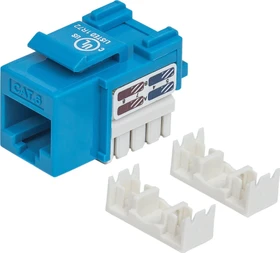 Intellinet Keystone Modul RJ-45 Buchse via Verlegekabel Cat6, blau