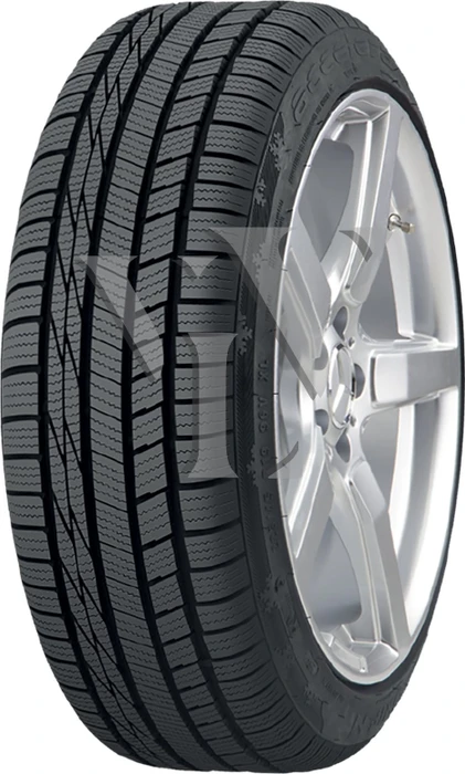 EP-Tyres Accelera Snow 205/50 R17 93V XL