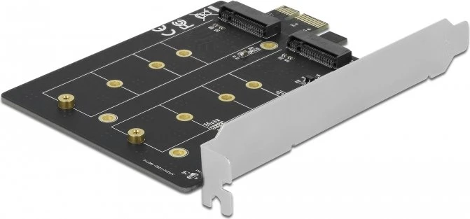 DeLOCK 2x M.2 SATA, PCIe 3.0 x1