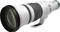 Canon RF 600mm 4.0 L IS USM Vorschaubild