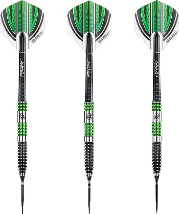 Winmau Daryl Gurney Dart