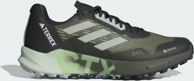 adidas Terrex Agravic Flow 2.0 GTX olive strata/wonder silver/green spark (Herren)