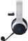Razer Kaira Pro for PlayStation Vorschaubild