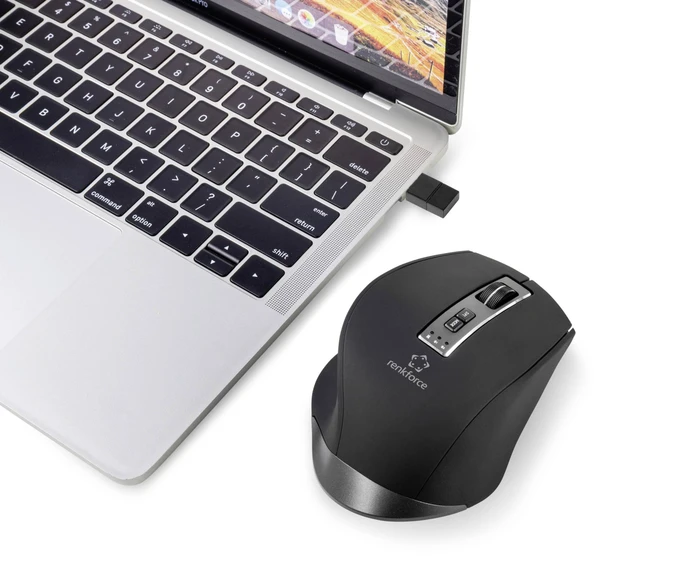 Renkforce RF-WM-300 Rechargeable Wireless Ergonomic Mouse schwarz/grau, USB/Bluetooth