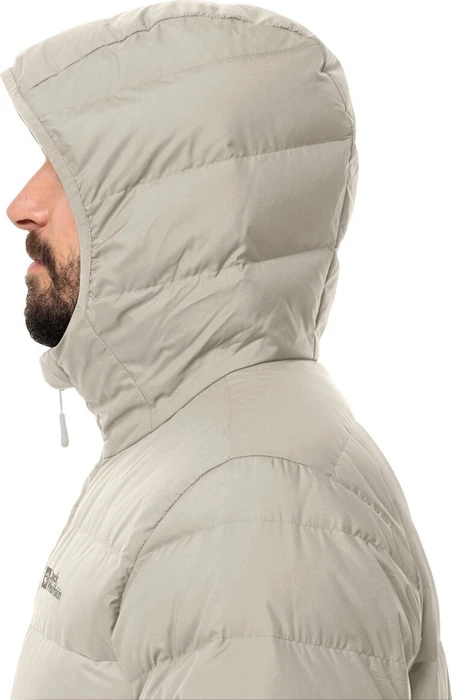 Jack Wolfskin Ather Down Hoody Funktionsjacke seal (Herren)