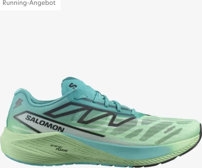 Salomon Aero Volt 2 peacock blue/spring bouquet/green ash (Herren)