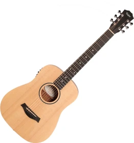 Taylor BT1e
