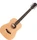 Taylor BT1e