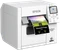 Epson ColorWorks CW-C4000e (bk), Tinte, mehrfarbig Vorschaubild