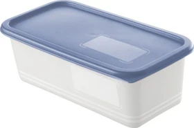 Rotho Domino Gefrierdose Aufbewahrungsbehälter 1.2l horizontblau, 3 Stück
