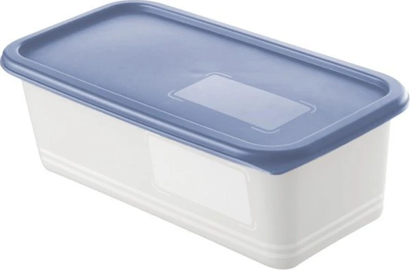 Rotho Domino Gefrierdose Aufbewahrungsbehälter 1.2l horizontblau, 3 Stück