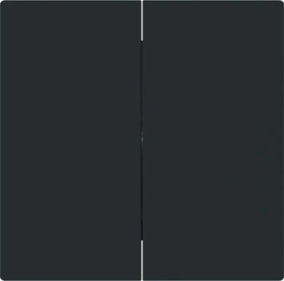 Busch-Jaeger Busch-art linear Wippe 2-fach, schwarz matt