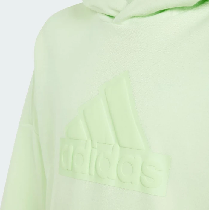 adidas Future Icons Logo Hoodie semi green spark/green spark (Junior)