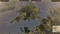 Total War: Attila - Slavic Nations Culture Pack (Download) (Add-on) (PC) Vorschaubild