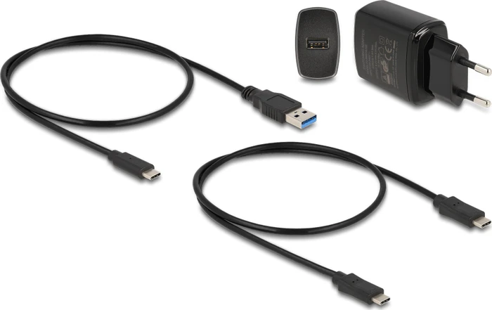 DeLOCK M.2 PCIe Dockingstation mit Klon-Funktion, USB-C 3.1 (64177) – Bild 6