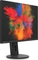 Fujitsu P-Line P2410 WS, 24.1" Vorschaubild