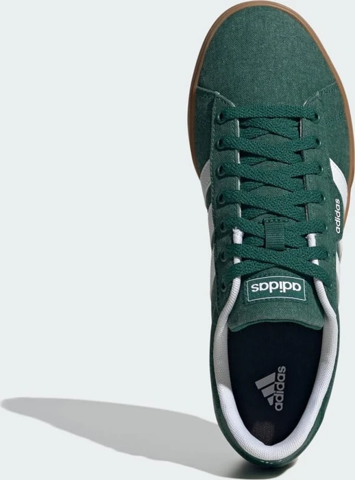 adidas Daily 3.0 collegiate green/cloud white/gum (Herren)