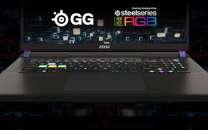 MSI Vector 17 HX A14VHG-1008, Cosmos Gray, Core i9-14900HX, 32GB RAM, 2TB SSD, GeForce RTX 4080, DE