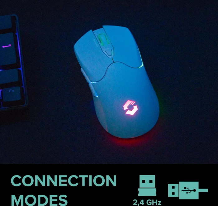 Speedlink Velox Rechargeable Wireless RGB Gaming Mouse weiß, USB