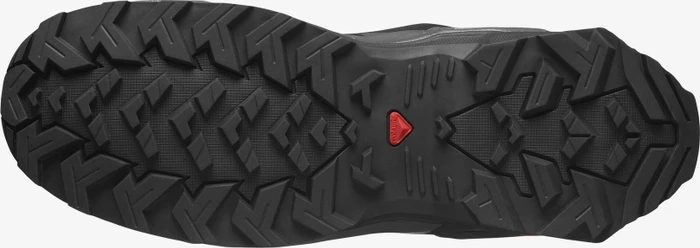 Salomon X Raise 2 GTX black/magnet/quarry (Herren)