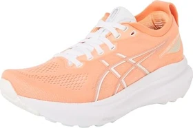 Asics Gel-Kayano 31 mojave/pure silver (Herren)