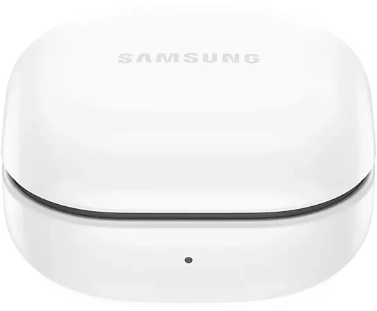Samsung Galaxy Buds FE Graphite