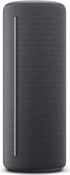 Loewe We.HEAR 1 storm grey
