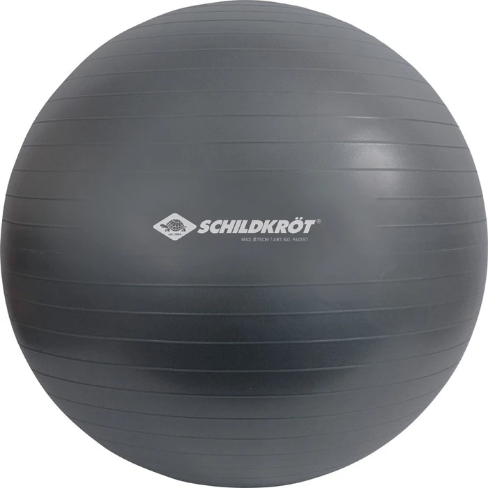 Schildkröt Fitness 85cm Gymnastikball
