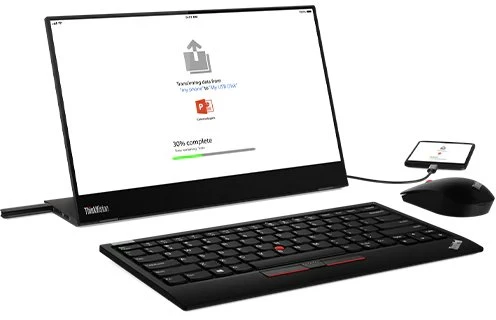 Lenovo ThinkVision M14t, 14"