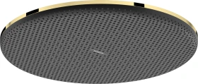 Hansgrohe Raindance Alive S Kopfbrause 300 1jet polished goldoptik