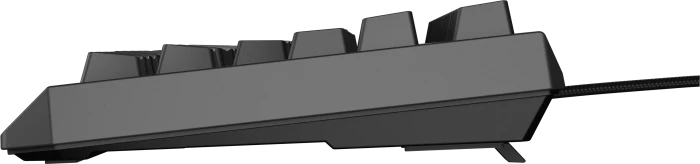 Genesis Thor 230 TKL, schwarz, LEDs RGB, hot-swap, Gaote Outemu BROWN, USB, US